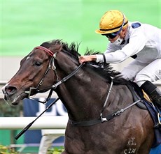 Golden Sixty 

Photo: Courtesy Hong Kong Jockey Club>