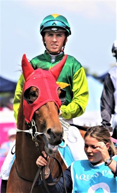 Yellow Brick and Ben Thompson