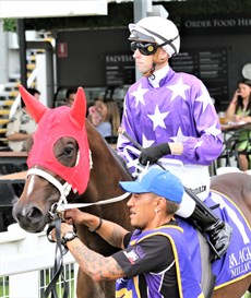 Chrysaor and Jimmy Orman (above and below). Chrysaor is Chris Waller's only representative in the $2 million Magic Millions Classic