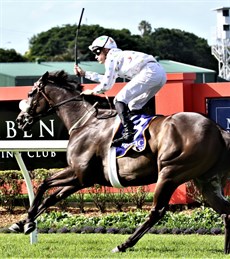 Emerald Kingdom ... will they salute again

Photos: Graham Potter and darren winningham