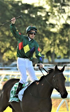 Alligator Blood comes back to scale after winning the 2022 Stradbroke ... 