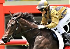 Beriman's two winners at Doomben on Saturday ...  Party For Two (above) and Bold And Lucy (below)