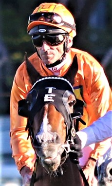 Fradd aboard Tyzone ... his Stradbroke winner 

“Now, I have another aim I will tackle as soon as I can.

“When I’m up and well and can drive, I’ll probably come into the races. There are many people I want to thank in person ... people that I won’t be seeing on a regular basis.

“Hopefully I can get to thank everybody.  There are so many of them. Obviously, I can’t get to thank them all individually because there are so many of them ... but, they’ll know who they are ... the owners, trainers who have given me opportunities and others who have shown me so much support along the way.

“It wouldn’t be right if I didn’t pass on my thanks to all of these people ... because I really do appreciate what so many people have done for me.” 

 Robbie Fradd