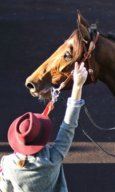 Precious moments ... strapper Emma Lehmann and trainer David Vandyke pictured after Gypsy Goddess's Group 1 win in teh Queensland Oaks
