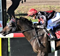 Out-riding them again ... Orman brings The Vowels home in the last at Eagle Farm on Saturday ... never going around a horse

Photos: Graham Potter</b.
