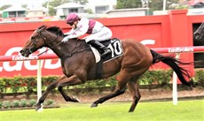 Situation Room ... judged a leading ride to perfection, having to work up the straight but ultimately never seriously letting anybody else into the race

Photos: Graham Potter