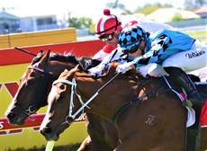 So close to a perfect start ... Spicy Legend (in the red cap) is narrowly beaten in a driving finish