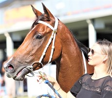 Chinny Boom (above and below) ... she could be a real star in the making