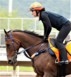 My Oberon

Photos: Darren Winningham (above) / Hong Kong Jockey Club (below) 