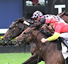 Rothfire claims a superb win in a pressurised finish in the Victory Stakes.