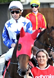 Golden Boom and Ryan Maloney ... my pick to take out the Darby McCarthy