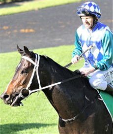 Russian Alliance and Larry Cassidy ... this smart, Kevin Kemp trained filly will be bidding for her sixth win in a row in the Bill Carter Stakes
