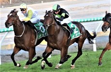 Thompson would also have to settle for second place aboard Better Get Set (green and black colours) in the Gai Waterhouse Classic