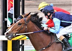 Surin Beach - the race two winner (above and below)