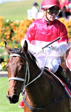 Highbar and Mark Du Plessis

Photos: Graham Potter,/b>
