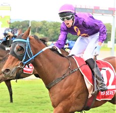 Adam Sewell ... relishing the moment as he takes The Driller to the line in the Cairns Cup