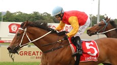 Game Theory

Photos: Darren Winningham