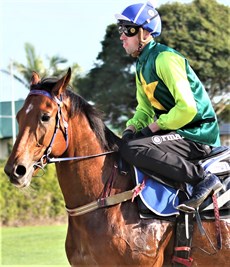 Yellow Brick ... back at the trails with new jockey Jimmy Orman