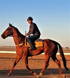 Limbering up at Birdsville in the day's leading up to the race