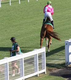 Seeing the horse off to the start. You know where she would rather be.

Photos: Graham Potter