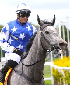 Elione Chavez and the Adam Campton trained Ronlee Gal (above and below)... winners at the Gold Coast last Saturday