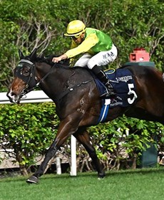 Ho powers home aboard Tomodachi Kokoroe in the last leg to clinch the 2023 IJC title

Photos: Courtesy Hong Kong Jockey Club