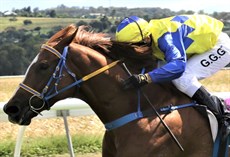 Racing photos: Graham Potter. Birdsville photo: Facebook