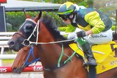 Beau Dazzler wins the Phelan Ready