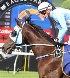 Master Jamie and regular jockey Bubba Tilley on the way to the start in the Falvelon ... 