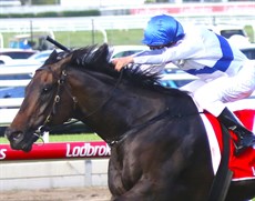 Zoustyle takes out his second Group 3 George Moore Stakes on December 2.. It was his tenth and  final career win

Photos: Graham Potter