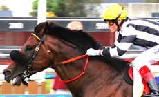 Barassi 
