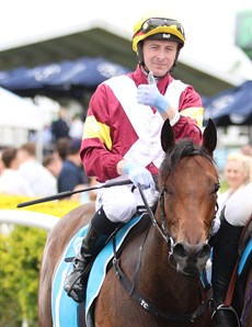 Arabian Summer ... my pick for the $3 million Magic Millions Two-Year-Old Clasic