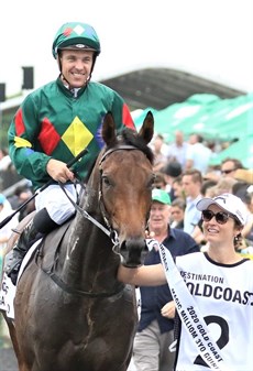 Remember when ... Alligator Blood passes the post first in the 2020 Magic Millions Three-Year-Old Guineas and returns to the winner's enclosure