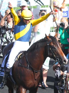 Storm Boy comes back to scale after demolishing his opposition in the $3 million Magic Milllions Two-Year-Old Classic (January 13)