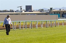 A man and his racetrack ... what a great job track curator Nevesh Ramdhani is doing with the the new turf track

Photos: Graham Potter and Darren Winningham
