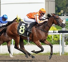 Jaden Lloyd kicks off his Singapore campaign with a win aboard the Dan Meagher trained Pacific Beauty

Photo: Singapore Turf Club