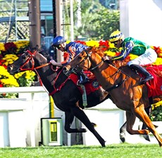 Photos: Courtesy Hong Kong Jockey Club