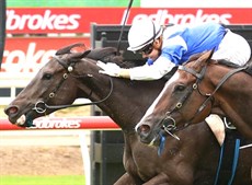 Graham's double at Eagle Farm on Saturday ... Flying Joy (a $19 chance - above) and Sharp Dazzler ($10)