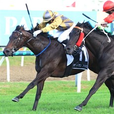 Party For Two wins the Three-Year-Old Jewel

Photo: Darren Winningham