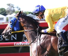 Win number 2: Won by a 2.31 length margin