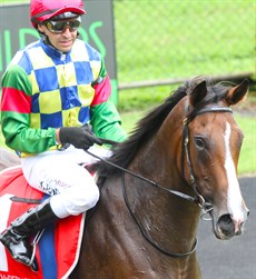 ... and the highly recognisable stable silks that are part of so much of the stable success

Photos: Graham Potter
