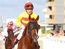 Duric brings Arentee back to scale after his solid win at Doomben on Saturday