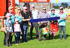 Island Tide (above and below - June 2, 2024) ... the first leg of a Geran stable double on the day ... followed by the win of Shotgun Sixtyfour