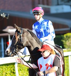 Miss Joelene ... going out to contest the Group 1 Queensland Oaks ...