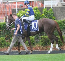 It'smemario - the third of four stable winners   on June 15