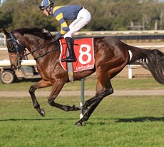 Shotgun Sixtyfour - the second of four stable winners on June 15