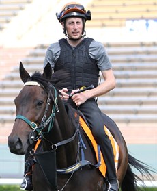Mr Brightside having a quiet canter at Sha Tin