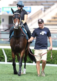 El Vencedor at work at Sha Tin