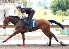 ... but nothing wrong with the gallop

Photos: Darren Winningham