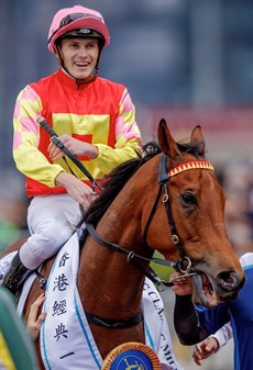 My Wish

Photos: Hong Kong Jockey Club